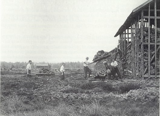 Vanha mustavalkoinen valokuva, joss viisi miestä työskentelevät märällä suomaalla. puisen rakennuksen vierellä.
